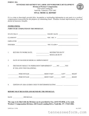 Get Tennessee C 30A Template in PDF